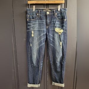 Express Distressed Girlfriend Ankle Denim